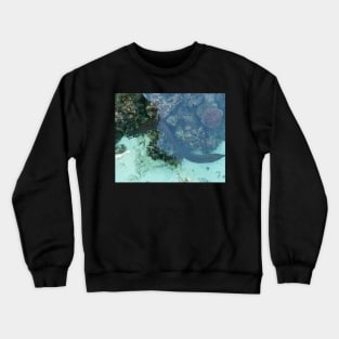 I'm feeling eely good! Crewneck Sweatshirt